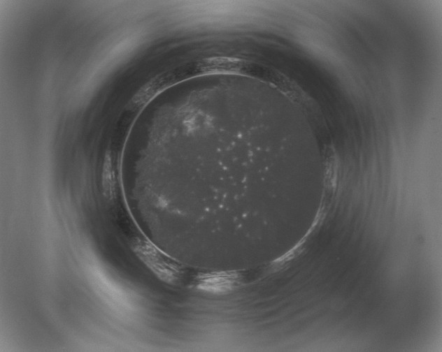 X0000081610191200701151415