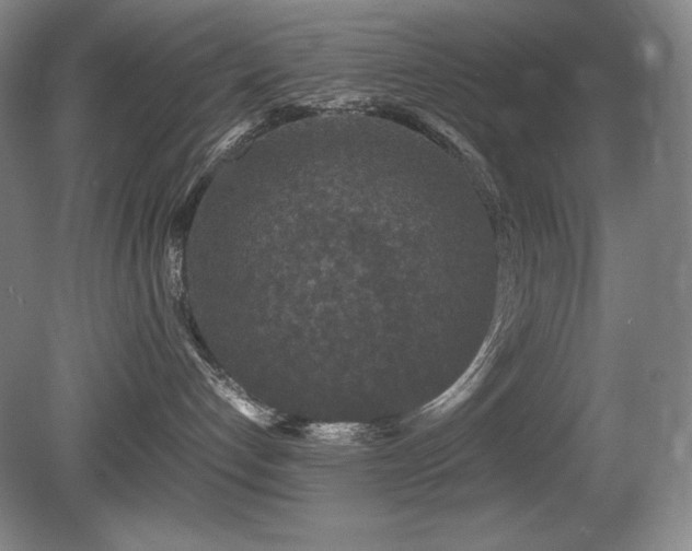 X0000081610192200701151415