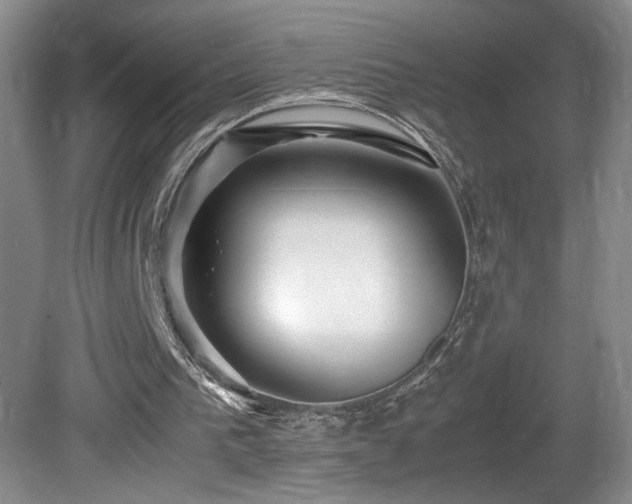 X0000081610193200701151414