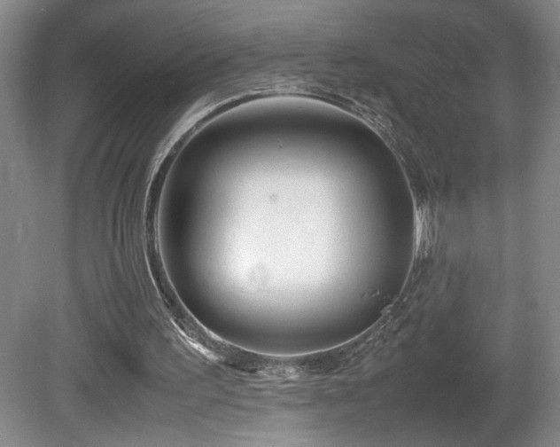 X0000081610195200701151414