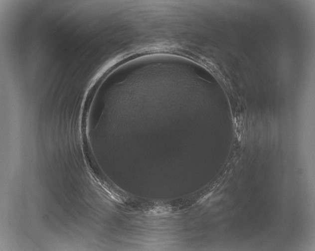 X0000081610196200701151414