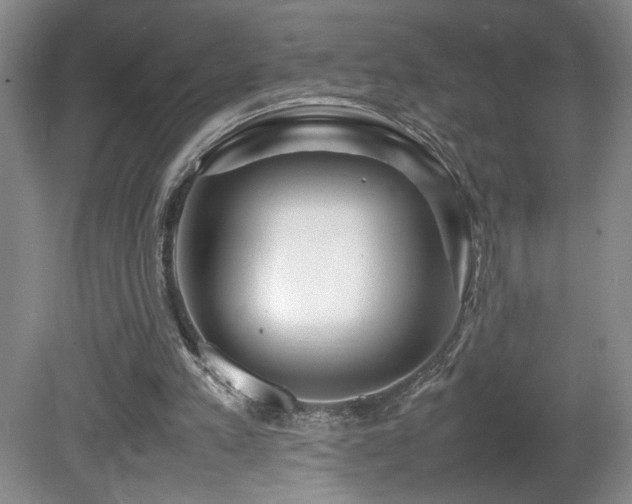 X0000081610197200701151414