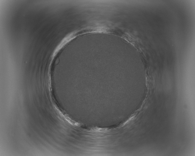 X0000081610198200701151414