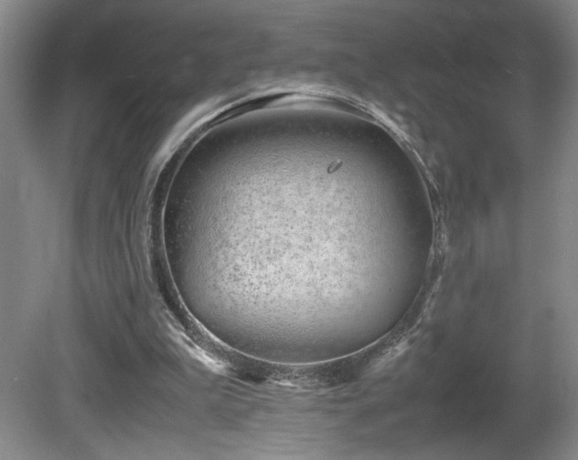 X0000081610199200701151414