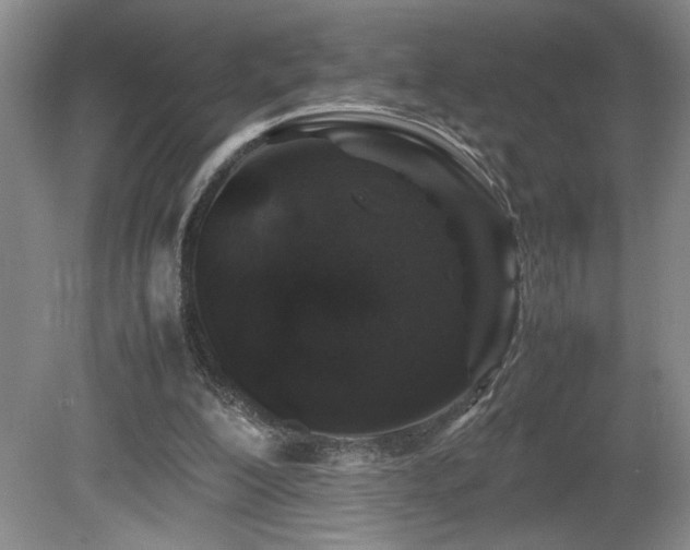 X0000081610200200701151414