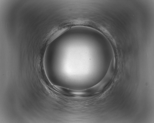 X0000081610201200701151414