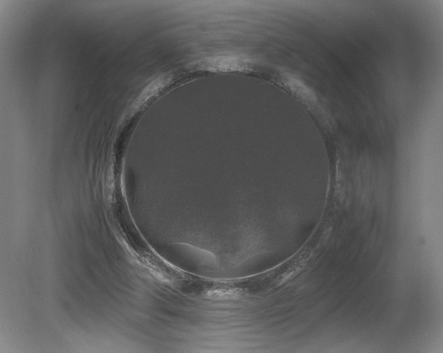 X0000081610202200701151414