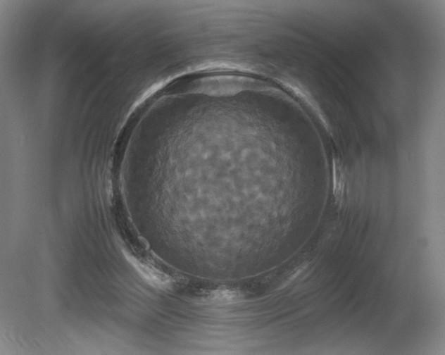 X0000081610204200701151414