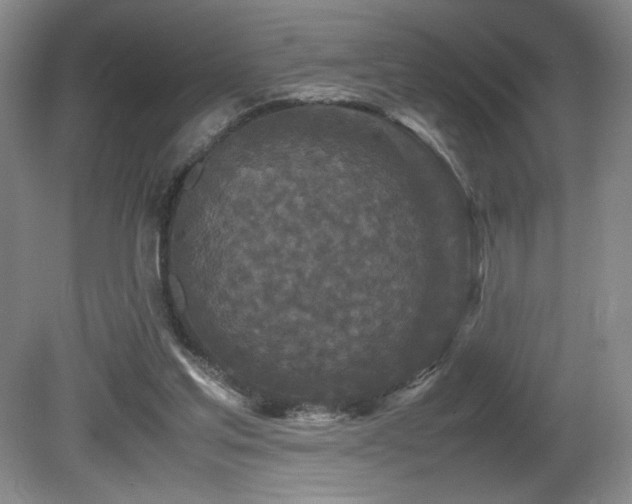 X0000081610205200701151414