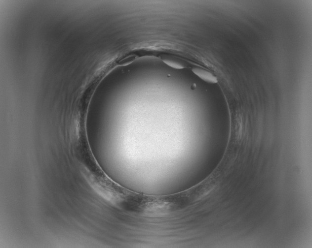 X0000081610206200701151414