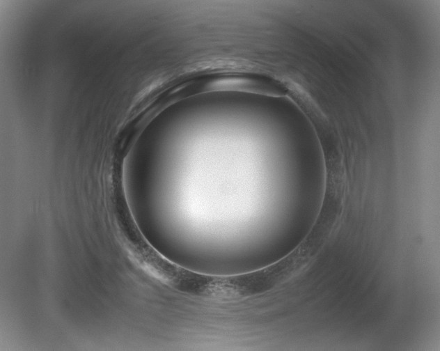 X0000081610207200701151414