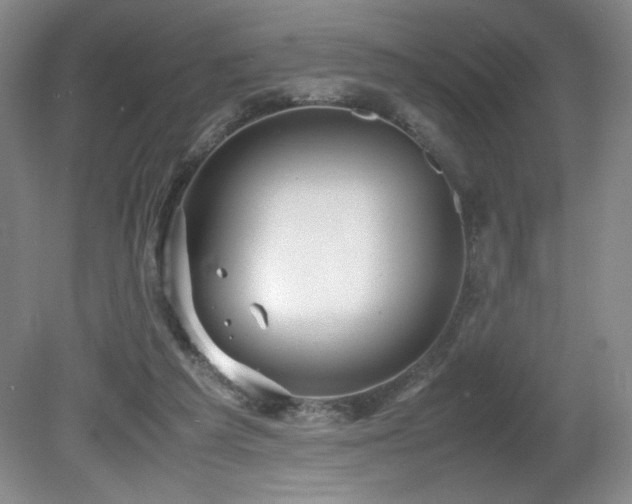 X0000081610209200701151414