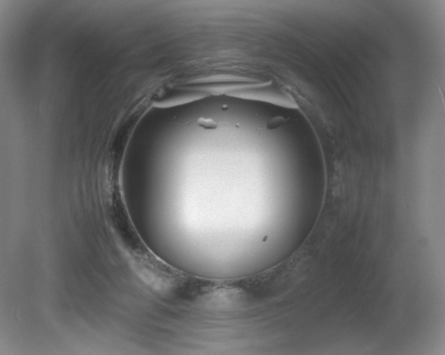 X0000081610210200701151414