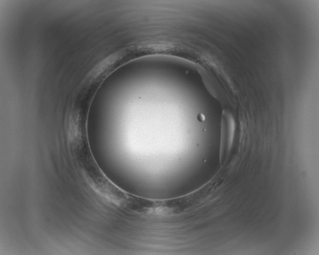 X0000081610212200701151414