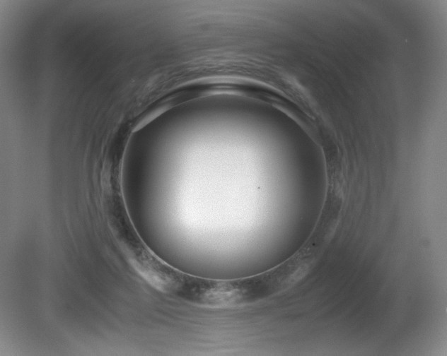 X0000081610213200701151414