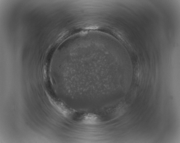 X0000081610214200701151414