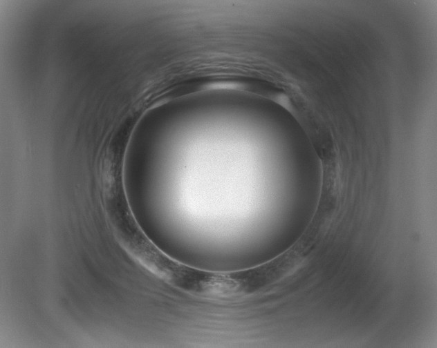 X0000081610215200701151414