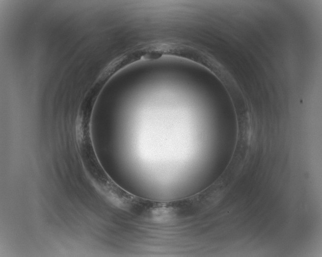 X0000081610216200701151414