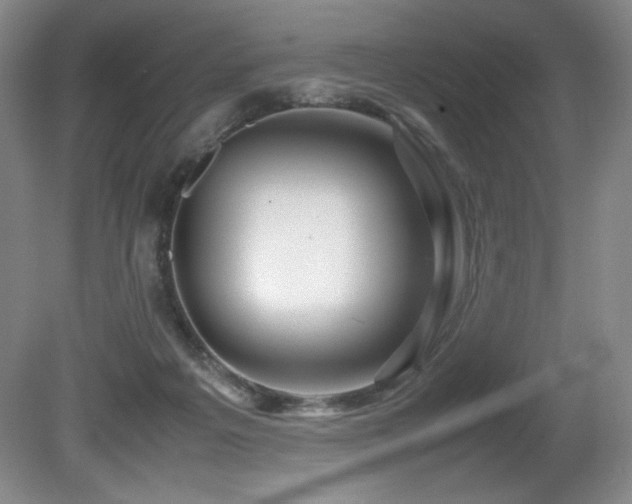 X0000081610217200701151414