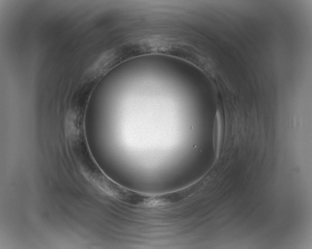 X0000081610218200701151414