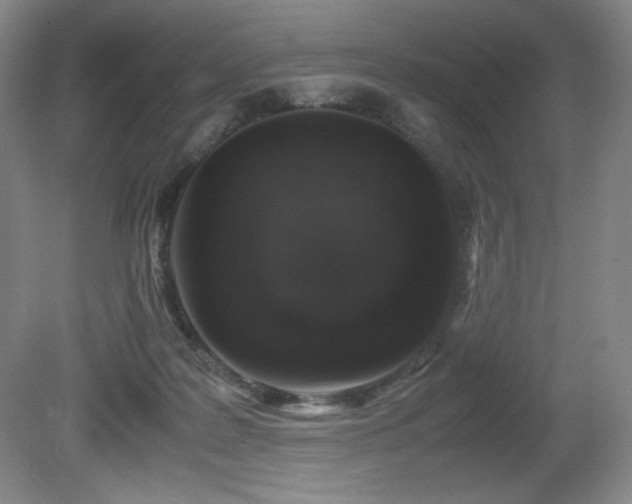 X0000081610219200701151414