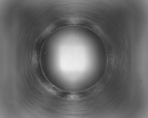 X0000081610220200701151414