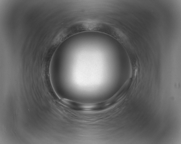 X0000081610221200701151414