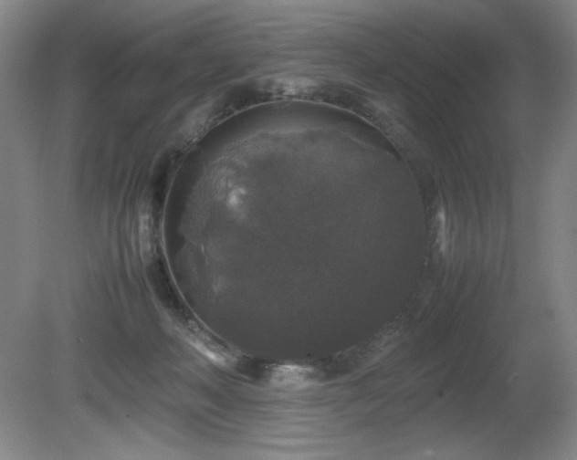 X0000081610222200701151414