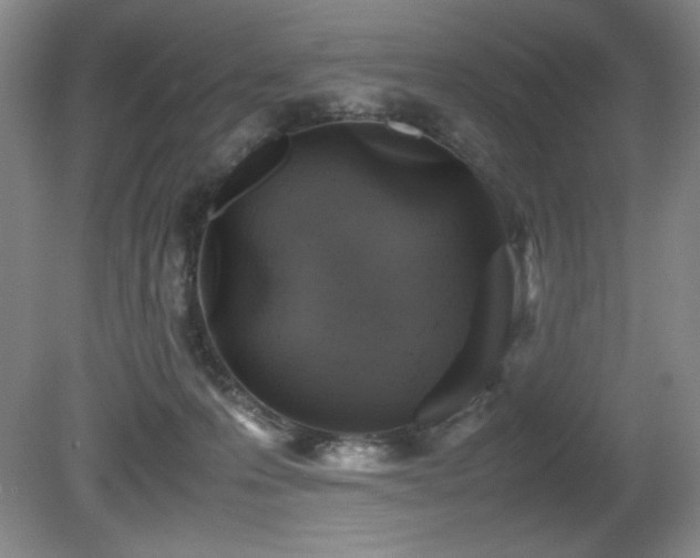 X0000081610223200701151414