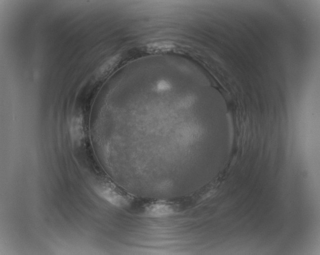 X0000081610224200701151414