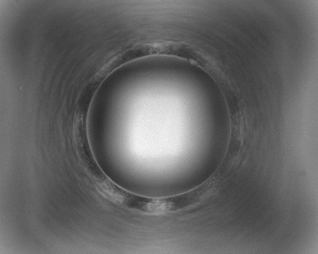 X0000081610225200701151414