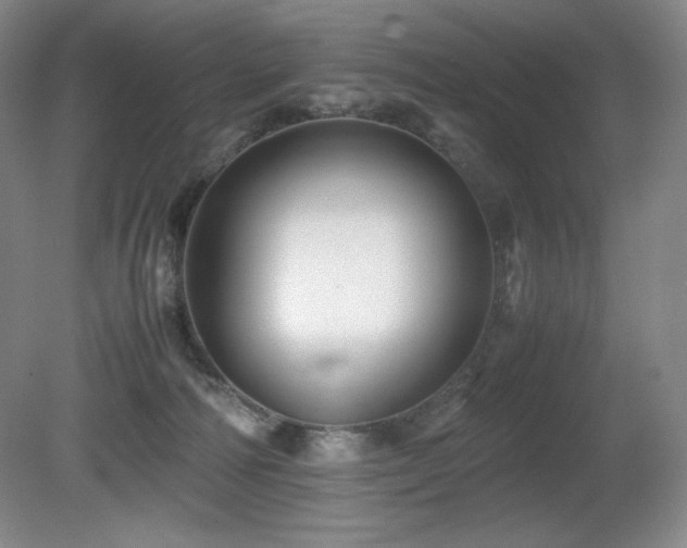 X0000081610226200701151414