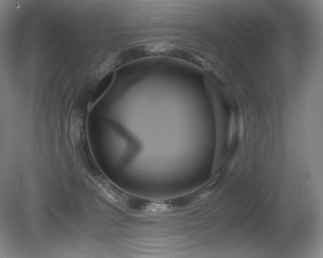 X0000081610227200701151413