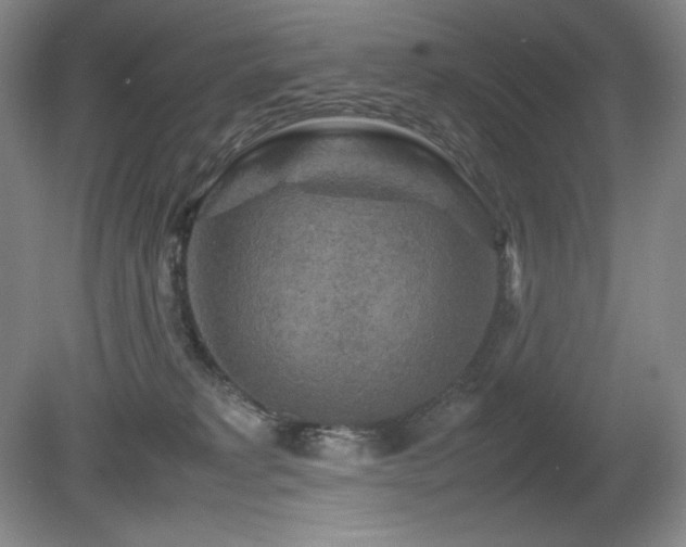 X0000081610229200701151413