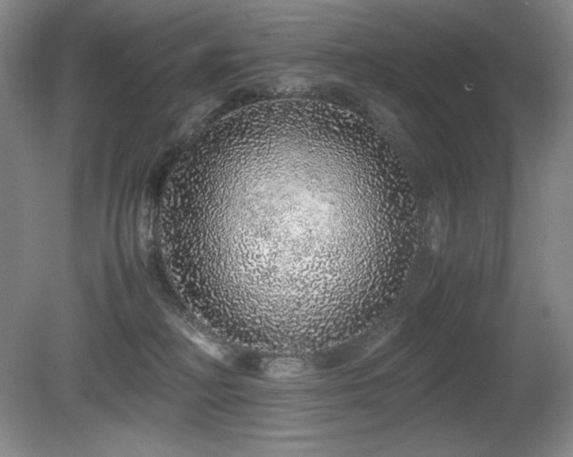 X0000081610230200701151413