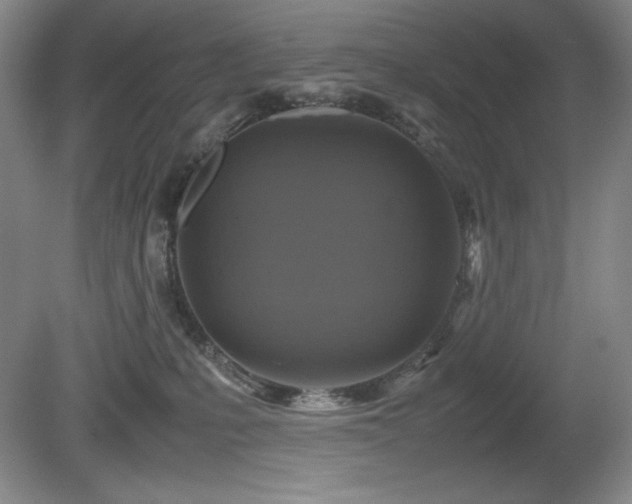 X0000081610231200701151413