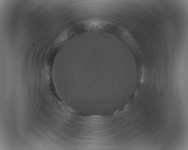 X0000081610232200701151413