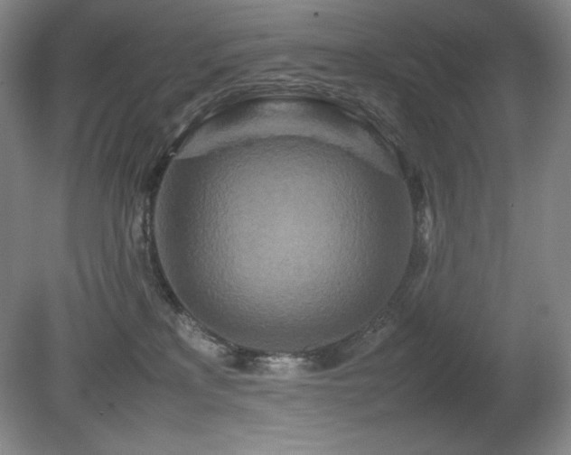 X0000081610233200701151413