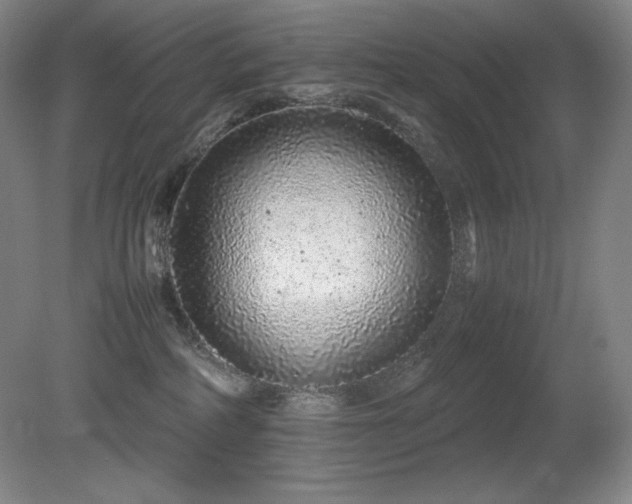 X0000081610234200701151413