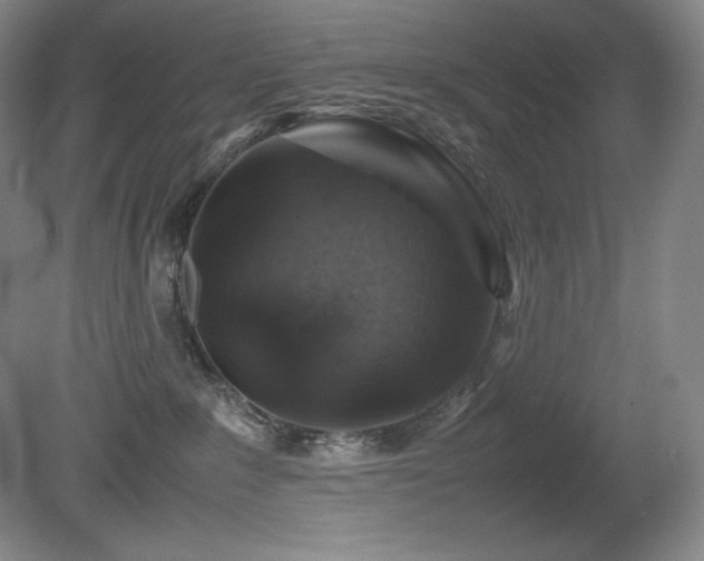 X0000081610235200701151413