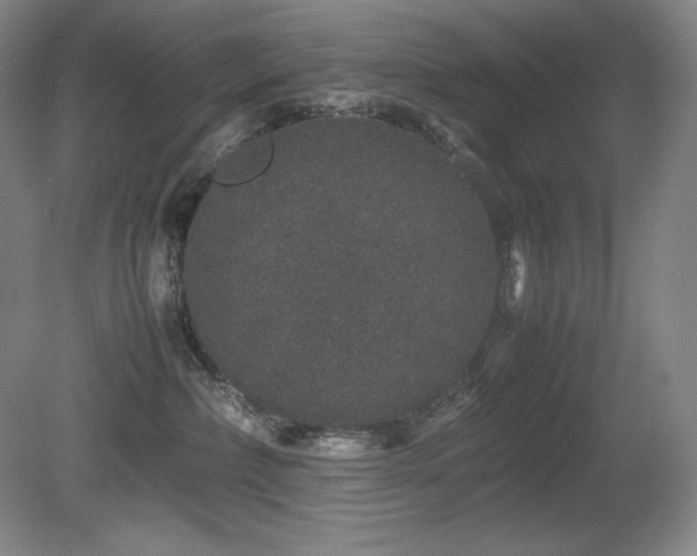 X0000081610236200701151413