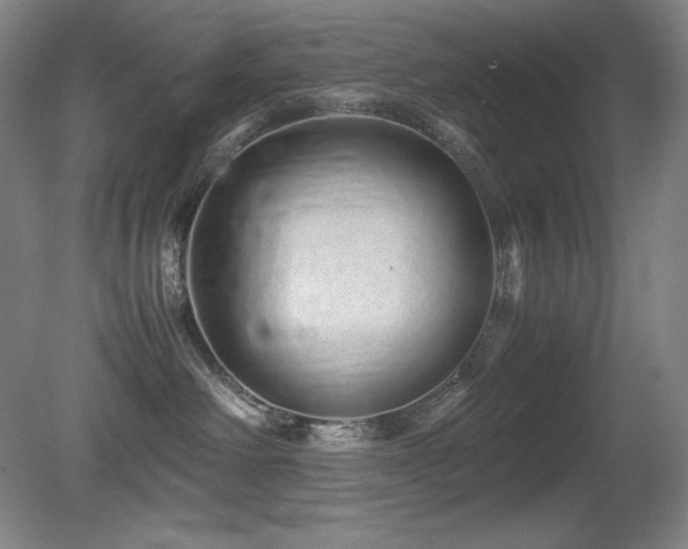 X0000081610238200701151413