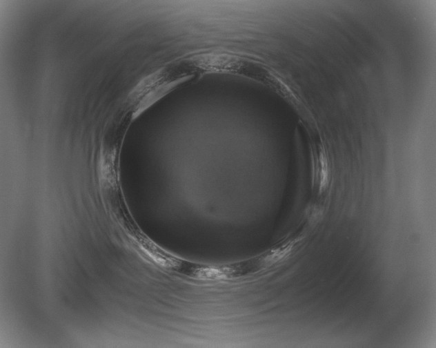 X0000081610239200701151413