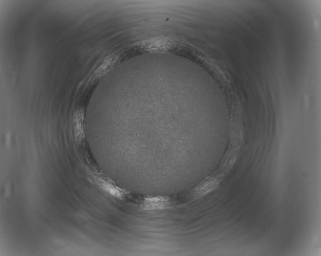 X0000081610240200701151413