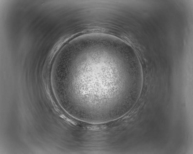 X0000081610241200701151412