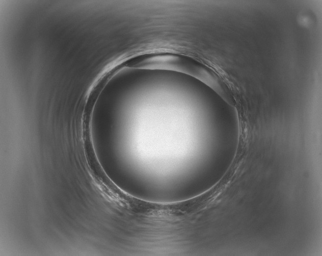 X0000081610244200701151412