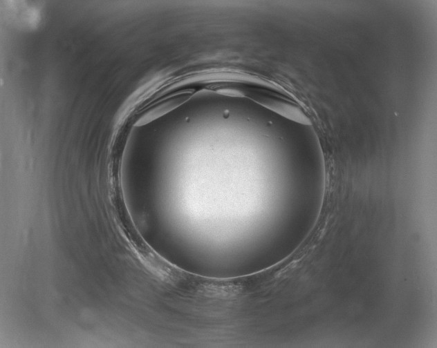 X0000081610245200701151413