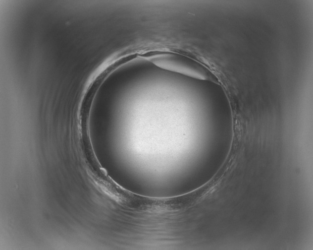 X0000081610246200701151413