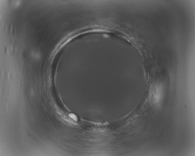 X0000081610247200701151413