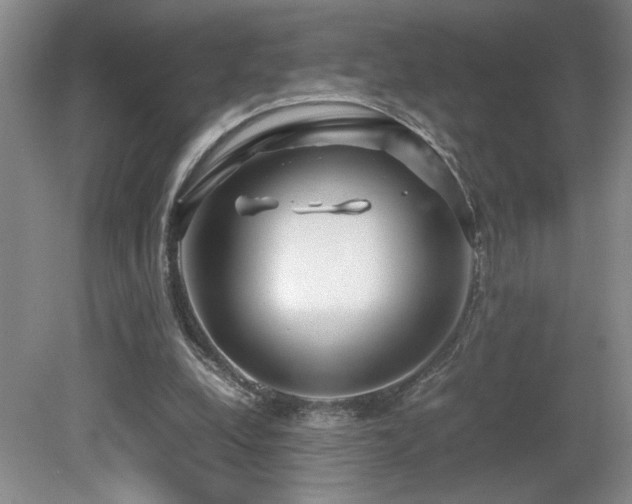 X0000081610248200701151413